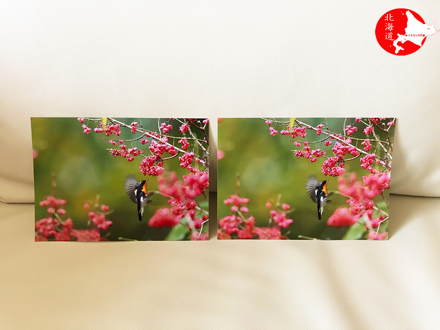 実は違うEPSONとcanon、インクジェットプリンターの仕組み@ringlog