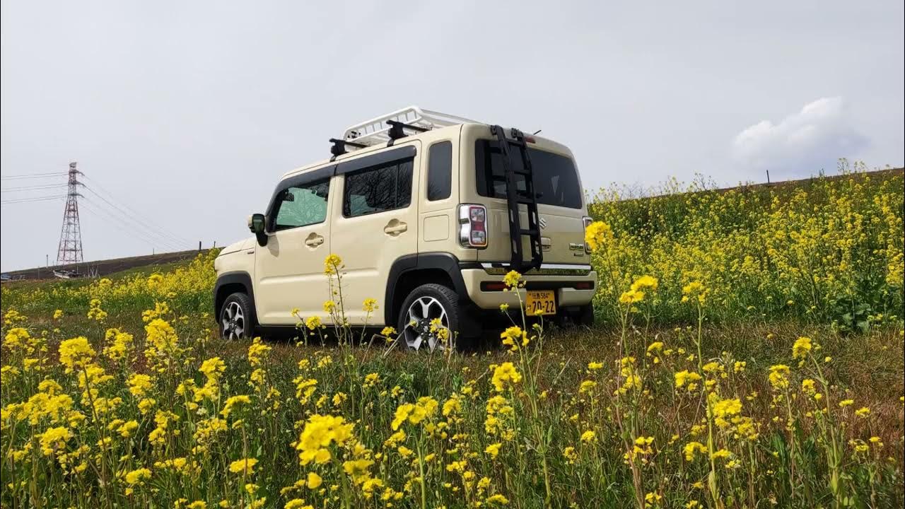 ハスラー リアラダー - メルカリ