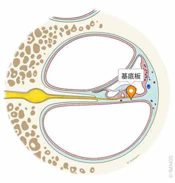 基底層とは？ – 324eco ミツヨエコ PRODUCTS公式オンラインショップ