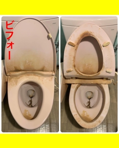 トイレ洗剤 150ml トイレふちクリーン NEOプラストイレ掃除 洗剤 泡 フチ裏 トイレ 掃除 清掃 汚れ 落とす 泡スプレー トイレ用便座 汚れ取り 日本製 泡クリーナー 掃除用品 清掃グッズ そうじグッズ