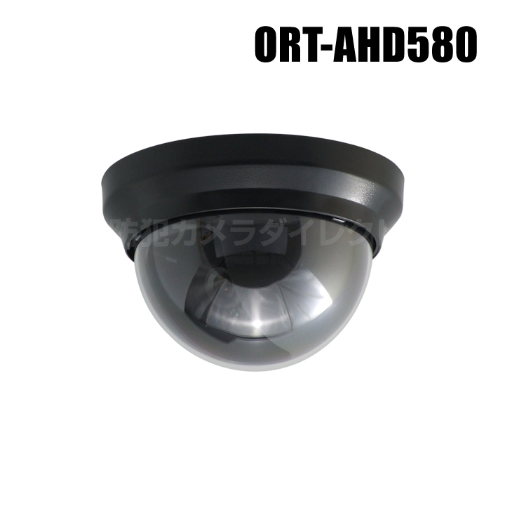 防犯カメラ ダミー 屋外 通販 ドーム型 ダミーカメラ ダミー防犯カメラ 電池式 乾電池 単3電池