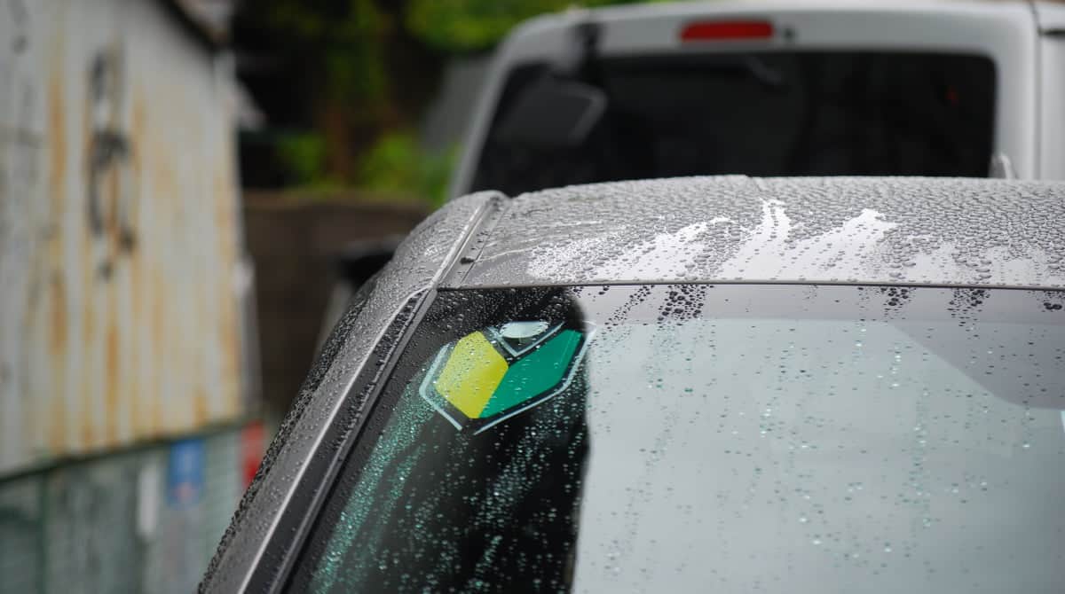 楽天市場 ゴールドマーク 吸盤タイプ １枚 優良運転者マーク 送料無料 : 江向隆商店