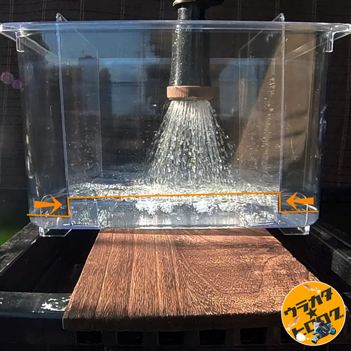 ダイソーで買ったもの▷飼育容器と虫取り網 : なんとなくと自己満足