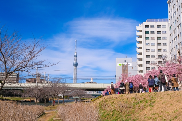 2025年版 江戸川区の治安や住みやすさ、マンション相場は