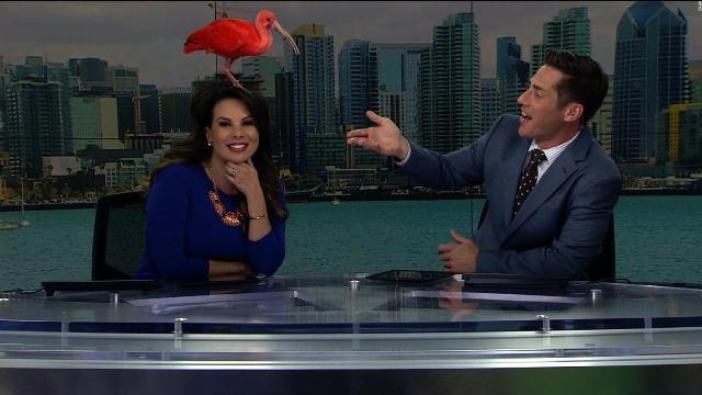 ピーコさん」亡くなる ニュース番組で鋭く温かいコメント 批判的な目線・弱者の視点いつも忘れずFNNプライムオンライン