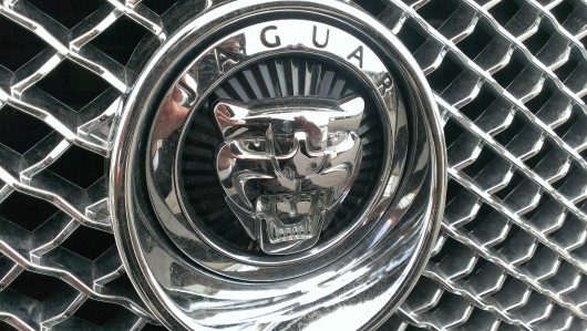 超初心者向け！ クルマのエンブレムの見分け方 ～動物モチーフを見分けよう！～クルマ情報サイトｰGAZOO.com