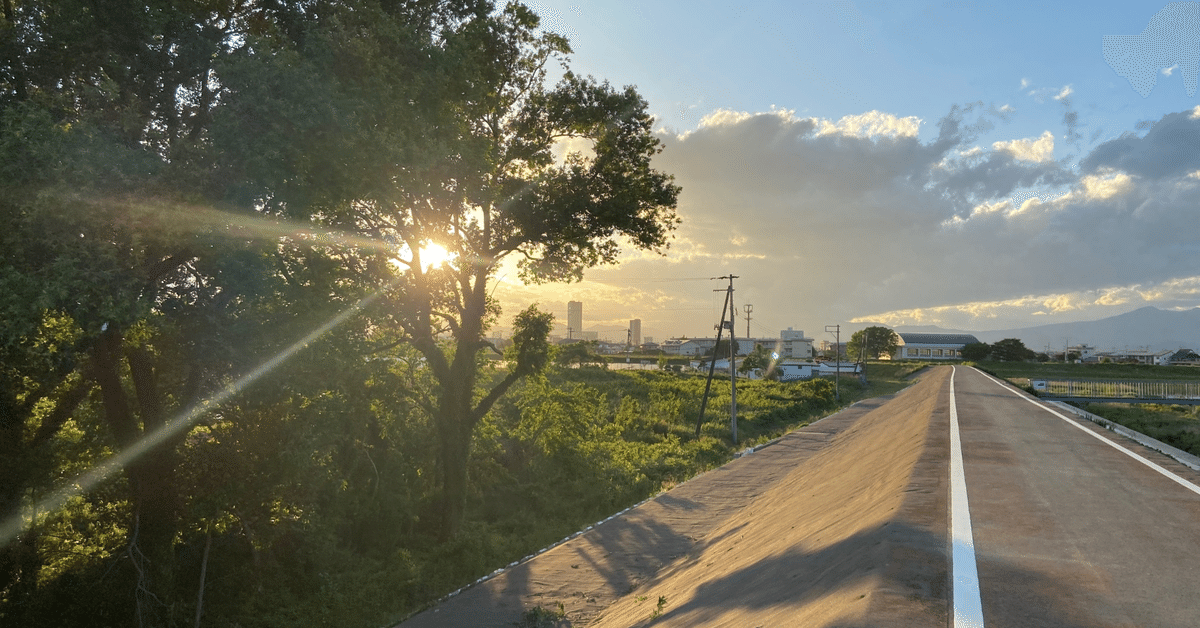 経歴と仕事内容佐藤有香編集・ライター、ときどきバリスタ