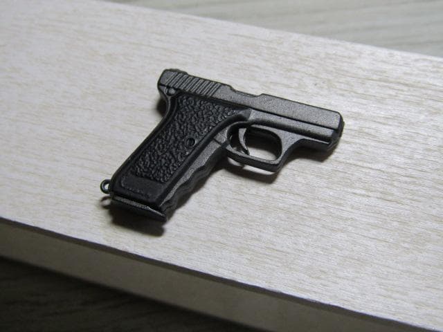 ドイツ地方警察装備の変遷 24 SFP9 - F & F嫁の “FFree World”