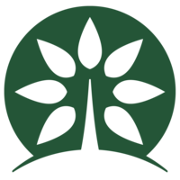 Taiga Kojima - CEO - 株式会社ジョシュアツリーLinkedIn