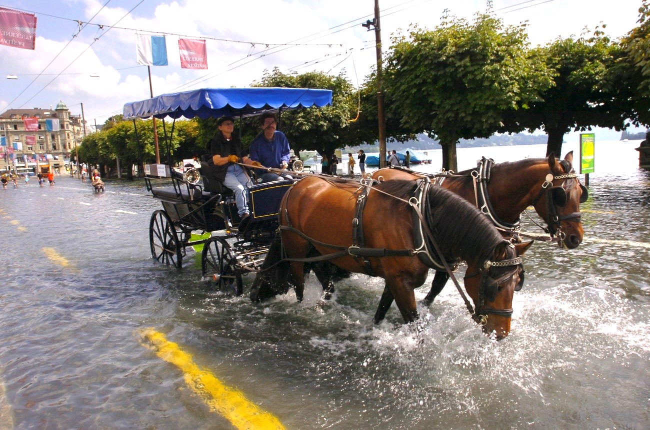 保険で資産運用をしようと思っている人へ - たぱぞうの米国株投資