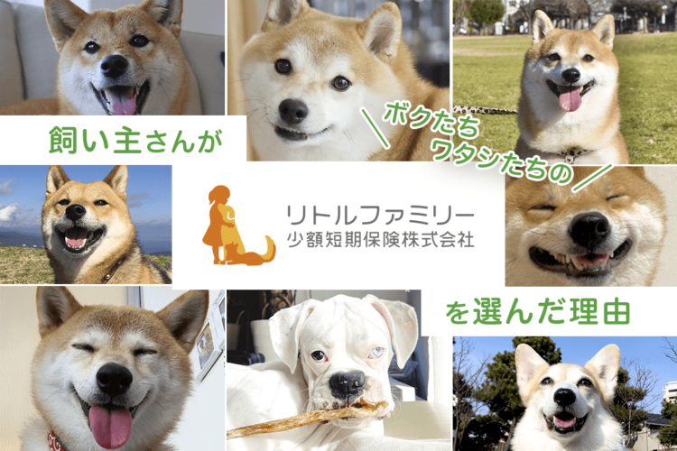 わんデイズ・にゃんデイズ