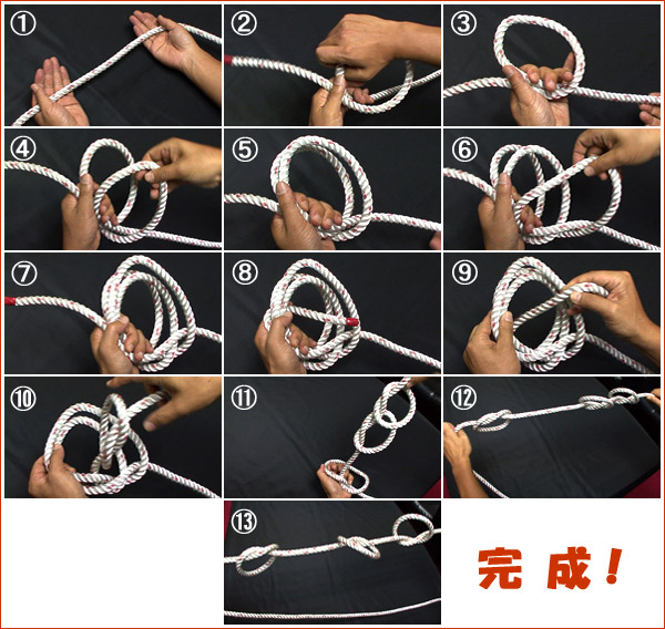 フィールドノート自然の中で身を守る