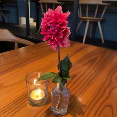 トランクウィル 山梨市、おだやかな時間が流れるカフェレストラン。てくてく甲府