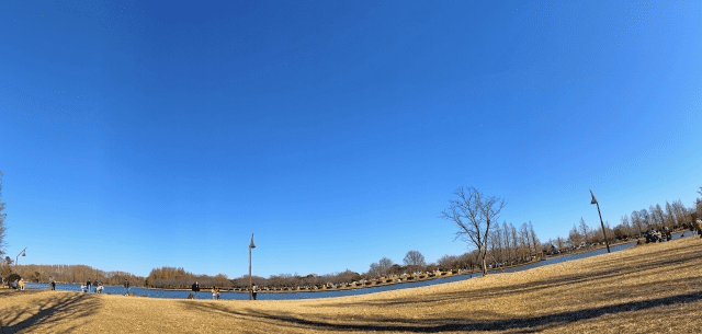 金町駅周辺の住みやすさは？家賃相場、治安、買い物、アクセスについて住民30人に取材！CHINTAI情報局