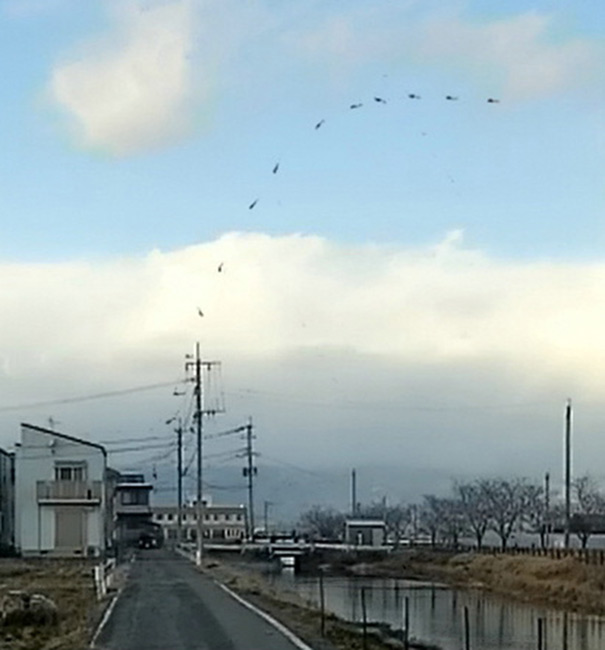 日本の航空機事故 > > 自衛隊輸送機墜落事故 1983年４月TV・出版・報道向け写真ならアフロ