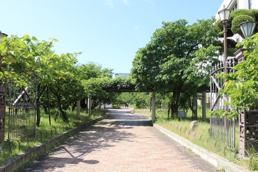 降りられない!?駅