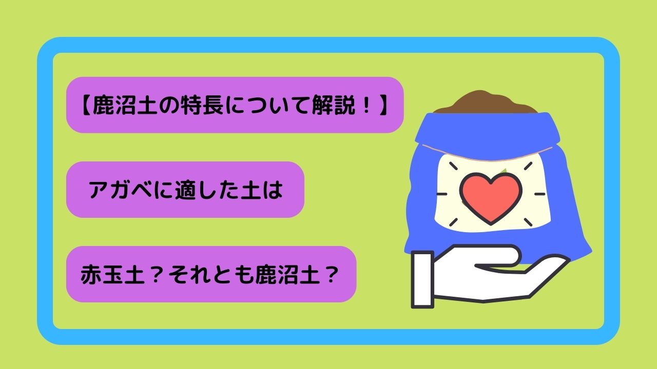 観葉植物の土 赤玉土＋鹿沼土＋軽石の無機質用土 20L- メルカリ