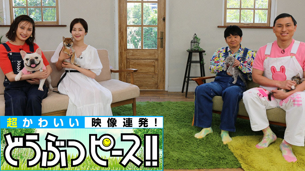 栃木市の注文住宅 テレビを窓の前に配置したい！リビングのレイアウトや結露対策を解説KONOHANA STYLE MAGAGINE