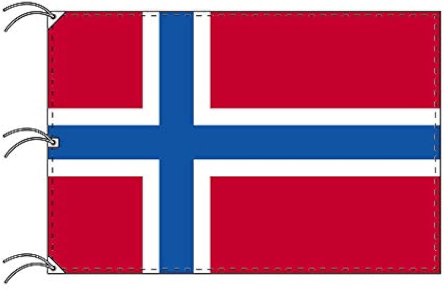 世界の国旗 服部 応援・装飾用旗 エストニア 105×70cm ポンジ 1枚 直送品- アスクル