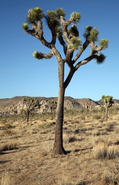 株式会社ピアラ Metaが主催する「Meta Agency First Awards 2024」にて「Best SMB Partner」を受賞2024年11月20日- エキサイトニュース