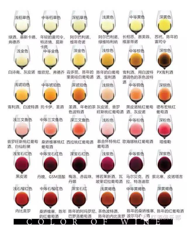 ORBIA GAIA おるゔぃあがいあ日本酒 評価・通販 SAKETIME