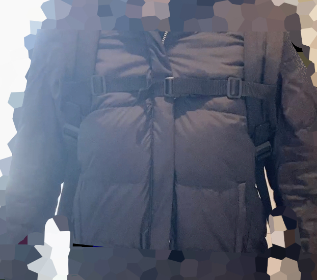 ランドセル固定ベルト 黒- 100均 通販 ダイソーネットストア 公式