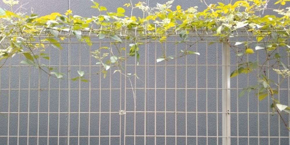 既存ブロック門柱・フェンス撤去工事 他No.0495その他外構工事の施工例外構工事のガーデンプラス