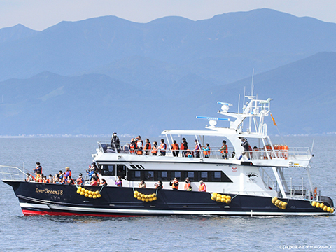 EVERGREEN SHIPPINGの基本情報と特徴Container EC