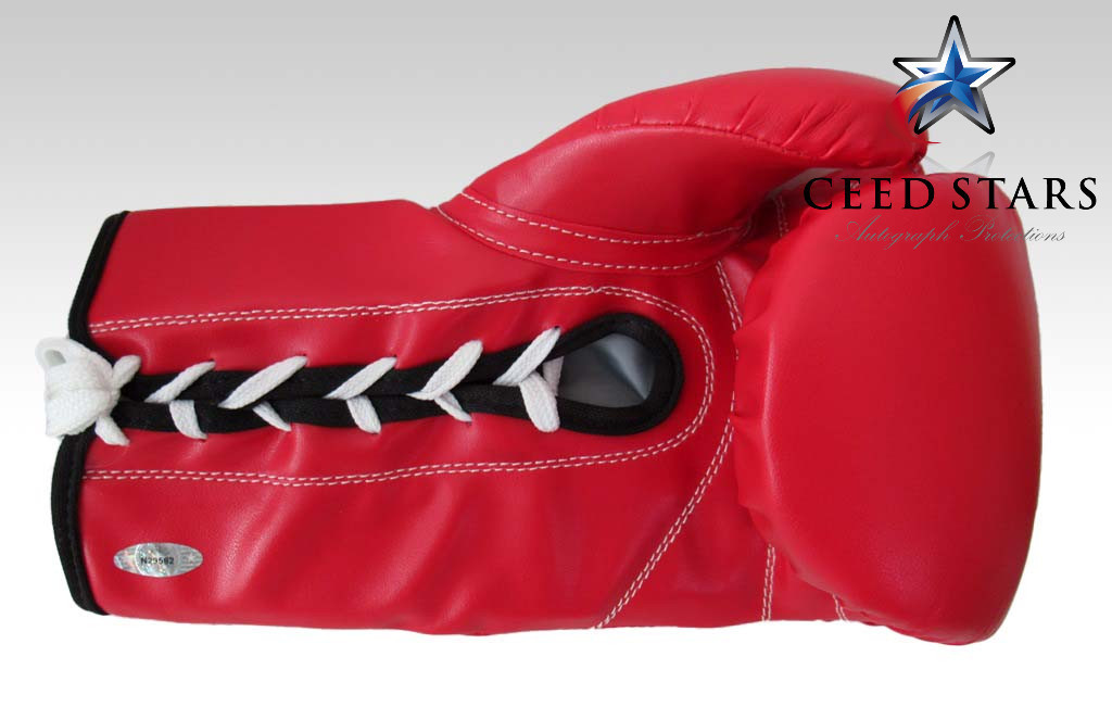 Amazon.co.jp: CS特許ガーボンタタンクデービス 直筆 サイン 入り 8×10 ポスター ベケット社 サイン会 現場目視 証明書フロイドメイウェザー : スポーツ＆アウトドア