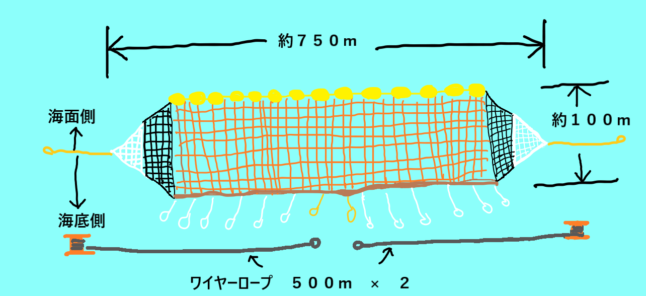 主な鰹の漁獲法 一本釣り・巻き網・ひき縄をそれぞれ解説高知産かつおの100%藁焼きタタキ通販久礼大正町市場 山本鮮魚店