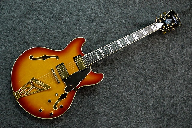 セミアコースティックギター セミアコ− センターブロックと空洞を備えたギターギタコン − ギター辞典