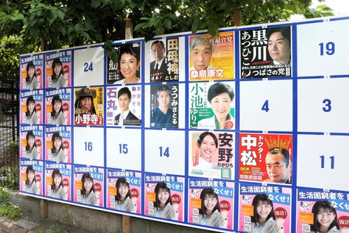 東京都知事選、「選挙無効」の申し出相次ぐ 枠外ポスター「不平等」東京都 ：朝日新聞