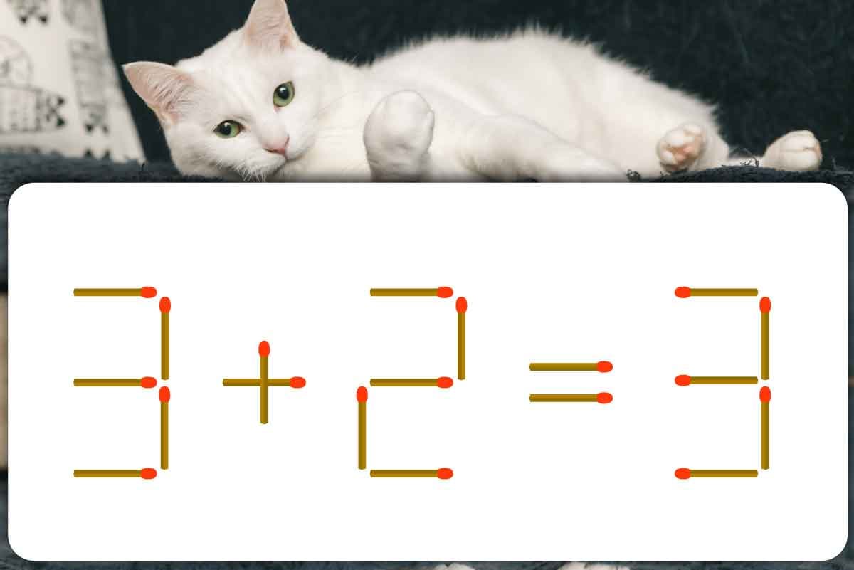 マッチ棒クイズ33 マッチ棒を2本動かして家を2つにしよう。脳トレでスッキリ ASOPPA! ｄメニューニュース NTTドコモ