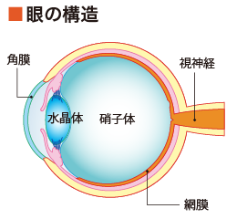 ティアーズオブザキングダム」の意味は？～王国の涙・王国の破れ目～ぬぬぬぬぬ
