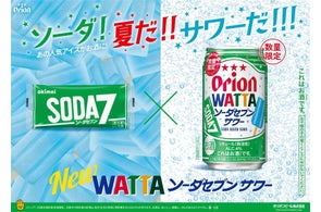 オリオンビール<オリオン ザ・プレミアム>350ml×24缶 ビール BEER プレミアム お酒 缶ビール 地ビール クラフトビール アルコール 5％１ケース 350ml 家のみ キャンプ 箱買い まとめ買い 飲みごたえ 贅沢 送料無料 沖縄 北中城村マイナビふるさと納税