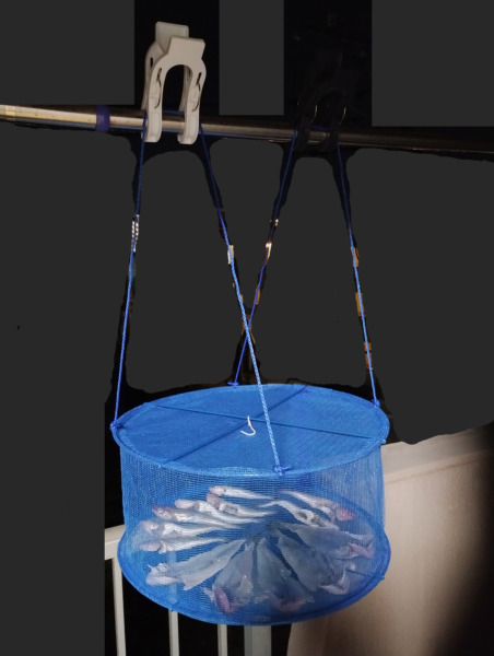 ダイソーの野菜干しネットが超使える！ おいしく節約へそくり塾