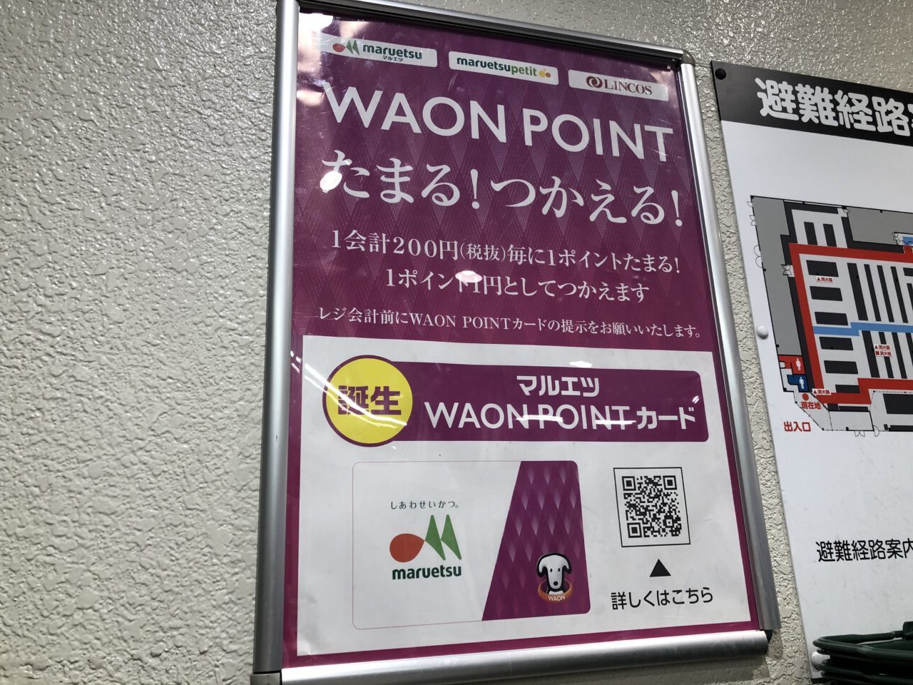 サンドラッグ サンドラッグ 小敷谷店のチラシ・特売情報・告知デリッシュチラシ