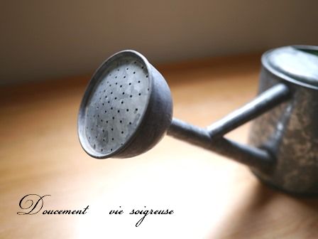 無印 ジョウロと水差し。ベランダ用と室内用。どっちもないと困る！ : 良品生活〜安心な暮らしのつくりかた〜 Powered by ライブドアブログ