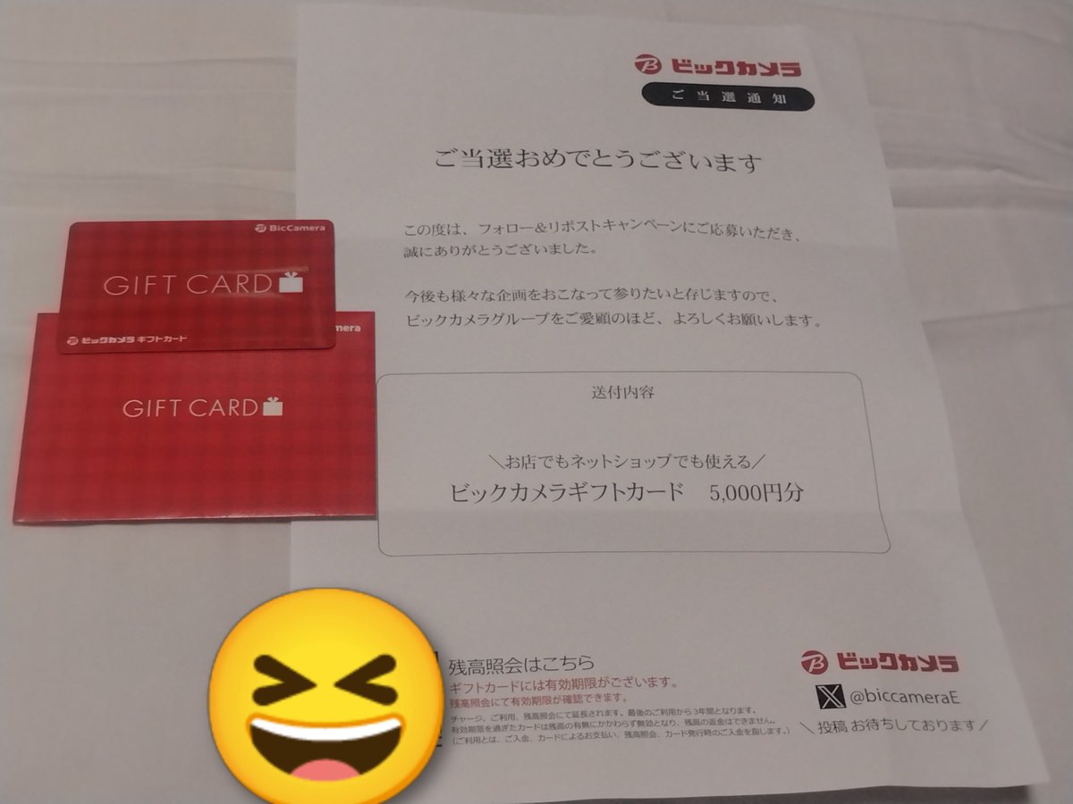 ビックカメラ商品券ビックSUPERサービス