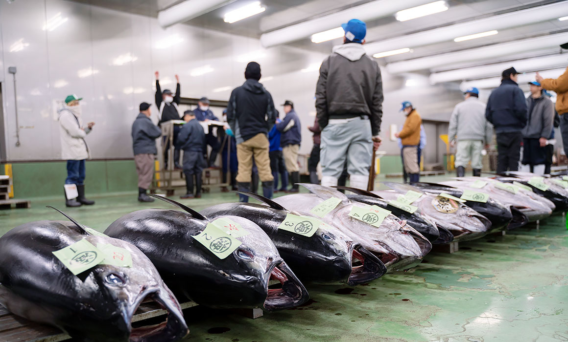 長田中央市場の旨い魚のお店と高速長田のシノワール最高 ^^♪神戸下町ブログ