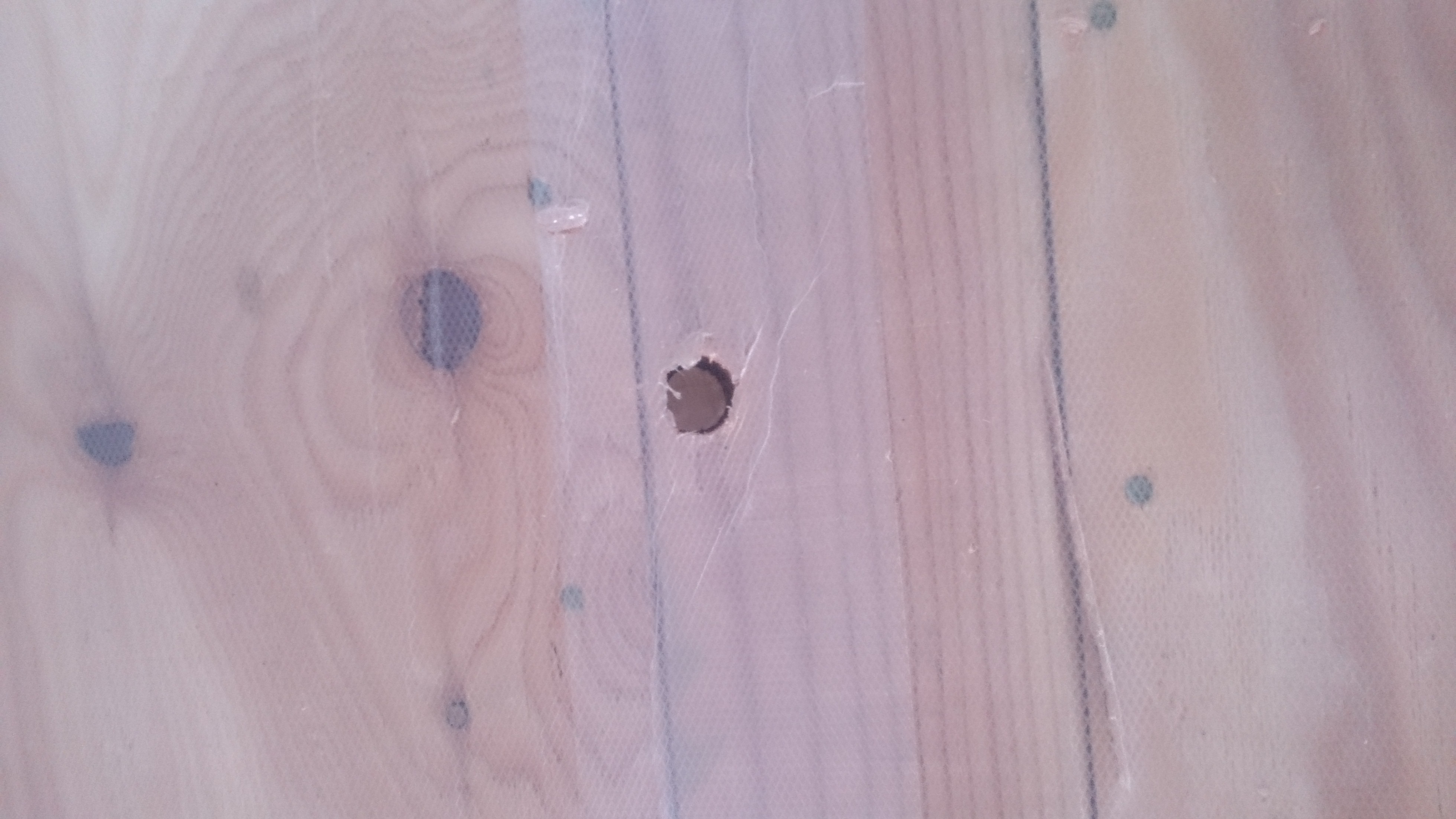 自宅事務所 電気工事一級設計事務所 感共ラボの森