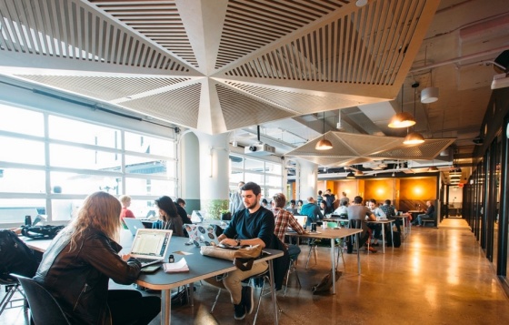 床材にも一工夫！海外オフィスのおしゃれなカーペット活用事例officee magazine