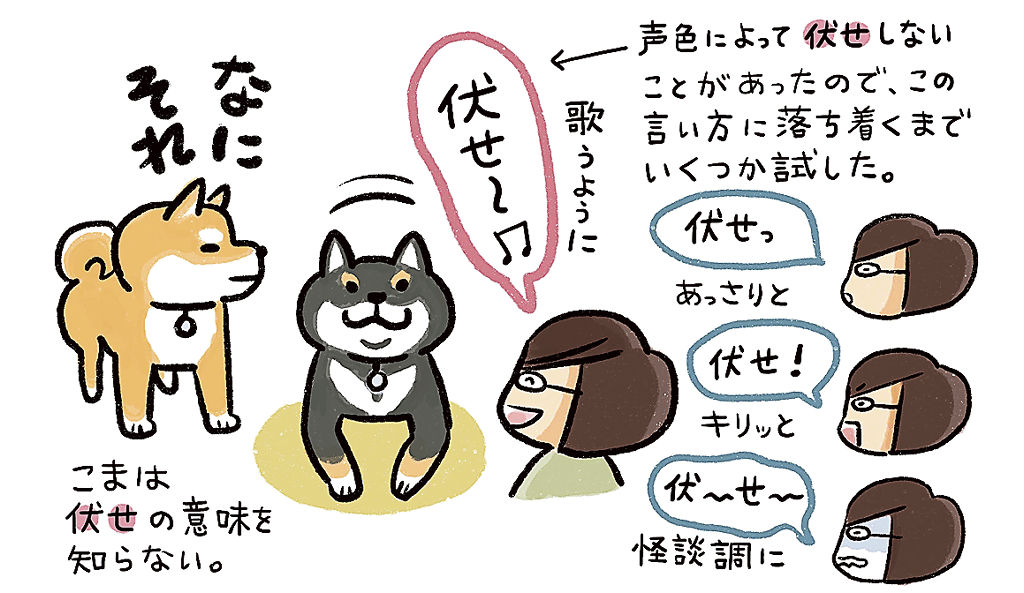 犬の伏せにはどんな意味があるの？ペットショップコンテンツ