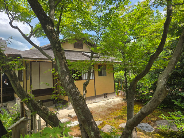 システムズ ドラフティング