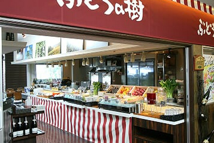 野の葡萄 博多菜彩DELI 博多驛の鮨 はかたえきのすしぶどうの樹＜公式サイト＞