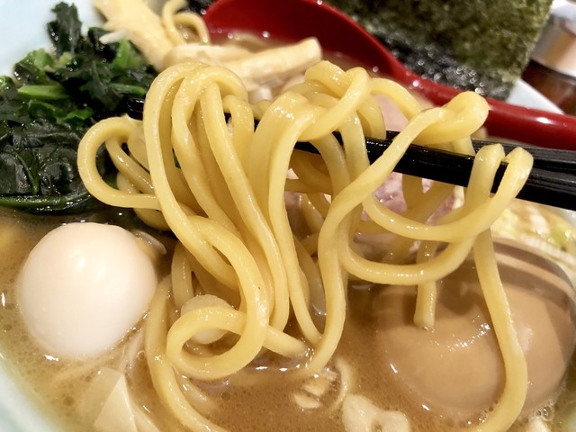 SHOEIの家正栄産業株式会社,ROOM TOUR, 四季を楽しみ、家族とくつろぐ。, 縁側リビングの平屋🌿, by SHOEIの家,・, \\ ルームツアー動画や施工事例を発信中, 他の投稿はこちら >> @shoei_no_ie,質問や感想がございましたら, コメントいただけると嬉しいです☺️, ・,