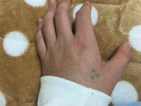 三ツ星武井勇輝オフィシャルブログ『人生一度 進めや進め』 Powered by Ameba