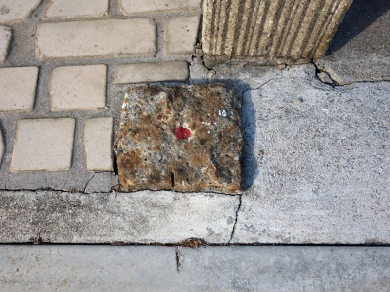 敷地で境界杭を見つけた方、必読！一目で分かる境界杭の見方