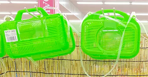 昆虫飼育用プラスチックケース 4個セット 昆虫飼育用品 商品一覧 - ダイソーオンラインショップ