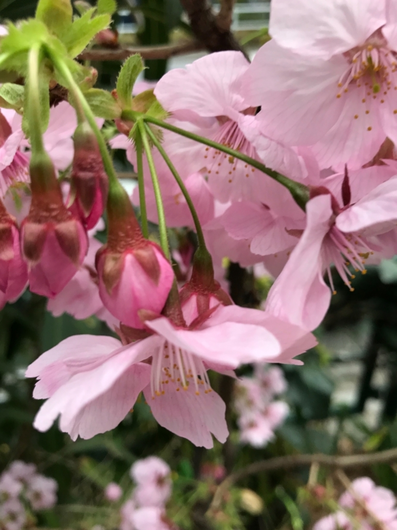 あなたに似合う色が、最高の色」 ココ・シャネルが残した名言：朝日新聞GLOBE＋